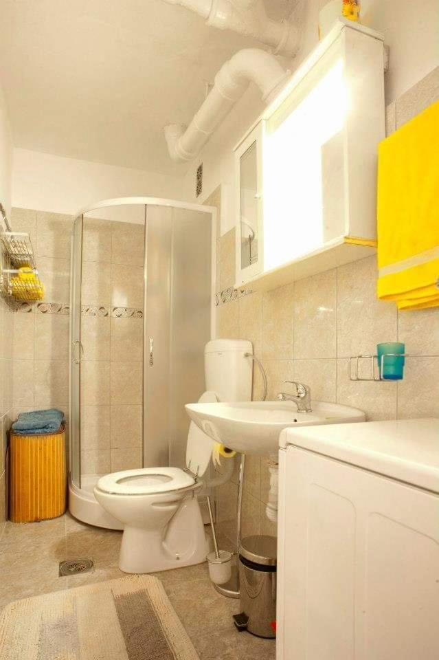 Apartments Aleksandar Petrovac الغرفة الصورة