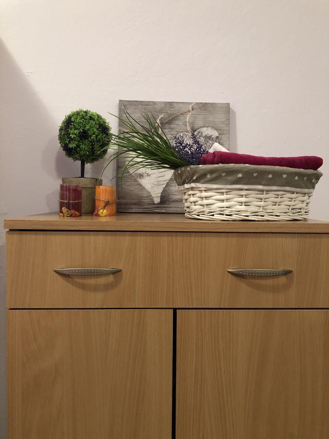 Apartments Aleksandar Petrovac المظهر الخارجي الصورة