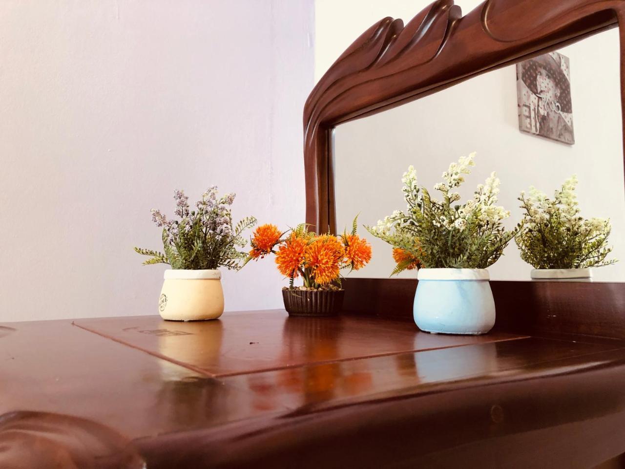 Apartments Aleksandar Petrovac المظهر الخارجي الصورة