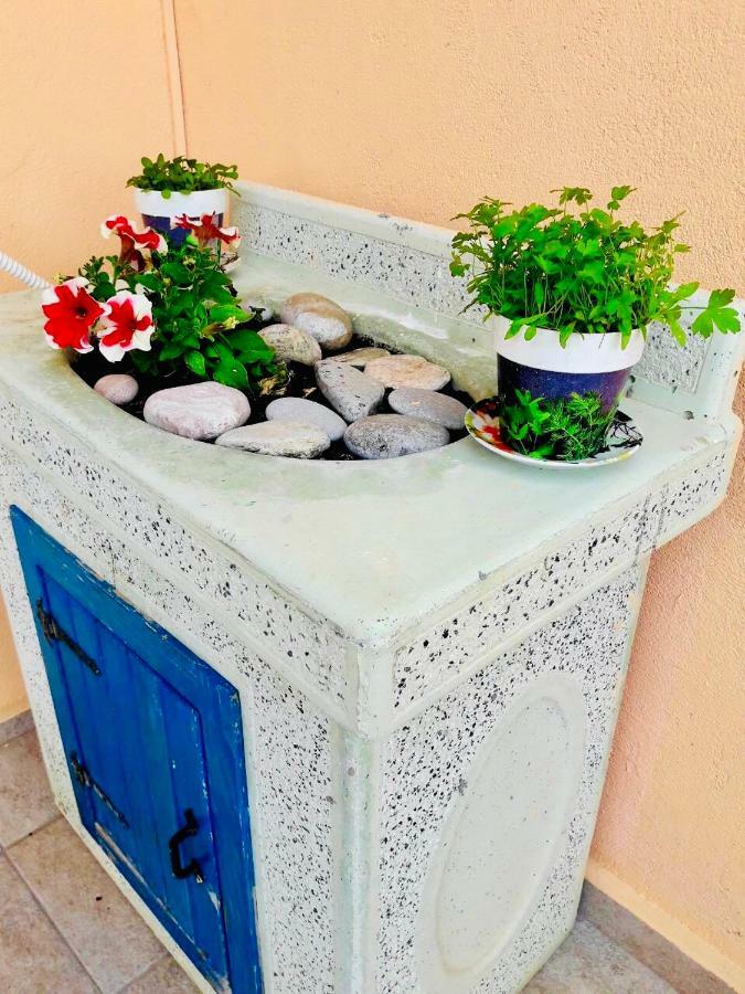 Apartments Aleksandar Petrovac المظهر الخارجي الصورة